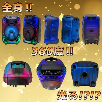 チコニア bluetooth全身発光スピーカー CICONIA