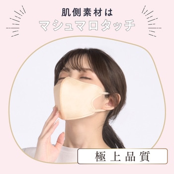 KaitekiAir 3D立体設計 高品質 血色マスク 冷感タイプ 大河商事