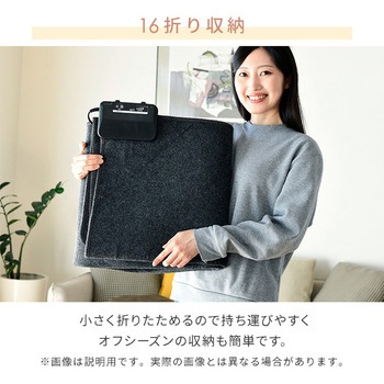 SUS-304 空気をキレイにするホットカーペット 1枚 YAMAZEN(山善