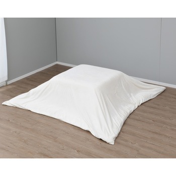 20125108 �����z�c�J�o�[ �i�C�X�f�C 13156555