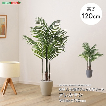 お手入れ簡単フェイクグリーン アレカヤシ Sサイズ(120cm) ホームテイスト