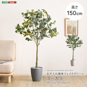 お手入れ簡単フェイクグリーン ユーカリ Mサイズ(150cm) ホームテイスト