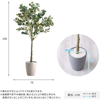 お手入れ簡単フェイクグリーン ユーカリ Mサイズ(150cm) ホームテイスト