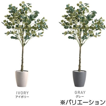 お手入れ簡単フェイクグリーン ユーカリ Mサイズ(150cm) ホームテイスト