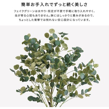 お手入れ簡単フェイクグリーン ユーカリ Mサイズ(150cm) ホームテイスト