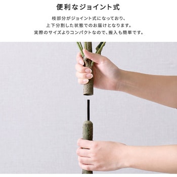 お手入れ簡単フェイクグリーン ユーカリ Mサイズ(150cm) ホームテイスト