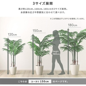 お手入れ簡単フェイクグリーン ユーカリ Mサイズ(150cm) ホームテイスト