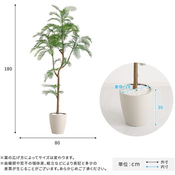 お手入れ簡単フェイクグリーン エバーフレッシュ Lサイズ(180cm) ホームテイスト