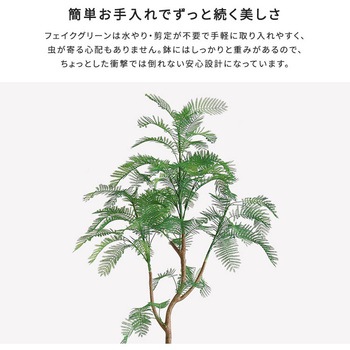 お手入れ簡単フェイクグリーン エバーフレッシュ Lサイズ(180cm) ホームテイスト