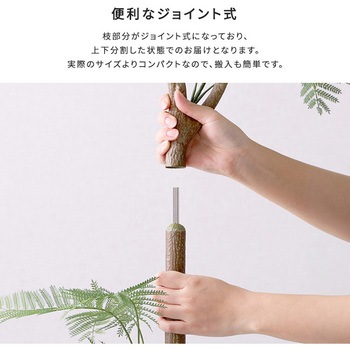 お手入れ簡単フェイクグリーン エバーフレッシュ Lサイズ(180cm) ホームテイスト