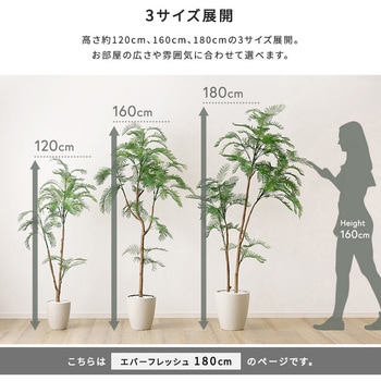 お手入れ簡単フェイクグリーン エバーフレッシュ Lサイズ(180cm) ホームテイスト