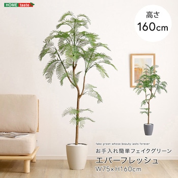 お手入れ簡単フェイクグリーン エバーフレッシュ Mサイズ(160cm) ホームテイスト