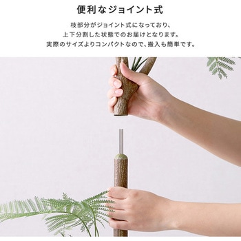 お手入れ簡単フェイクグリーン エバーフレッシュ Mサイズ(160cm) ホームテイスト