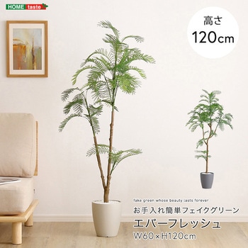 お手入れ簡単フェイクグリーン エバーフレッシュ Sサイズ(120cm) ホームテイスト