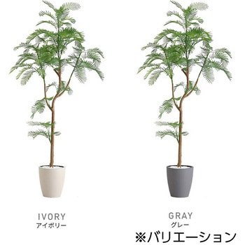 お手入れ簡単フェイクグリーン エバーフレッシュ Sサイズ(120cm) ホームテイスト