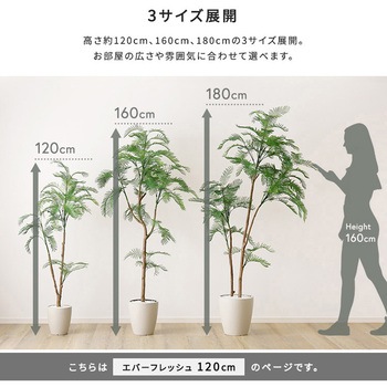 お手入れ簡単フェイクグリーン エバーフレッシュ Sサイズ(120cm) ホームテイスト