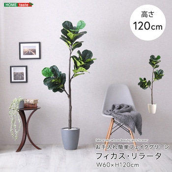 お手入れ簡単フェイクグリーン フィカス・リラータ Sサイズ(120cm) ホームテイスト