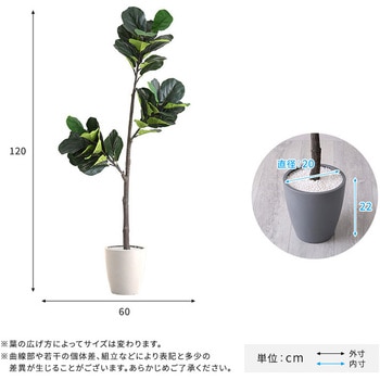 お手入れ簡単フェイクグリーン フィカス・リラータ Sサイズ(120cm) ホームテイスト