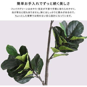 お手入れ簡単フェイクグリーン フィカス・リラータ Sサイズ(120cm) ホームテイスト