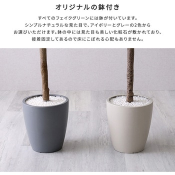 お手入れ簡単フェイクグリーン フィカス・リラータ Sサイズ(120cm) ホームテイスト