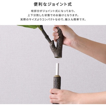 お手入れ簡単フェイクグリーン フィカス・リラータ Sサイズ(120cm) ホームテイスト