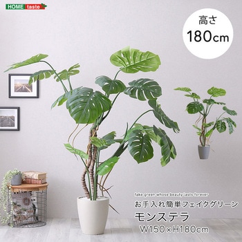 お手入れ簡単フェイクグリーン モンステラ Lサイズ(180cm) ホームテイスト
