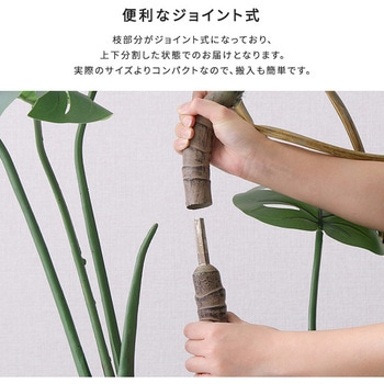 お手入れ簡単フェイクグリーン モンステラ Lサイズ(180cm) ホームテイスト