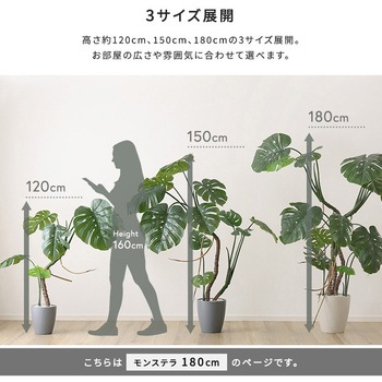 お手入れ簡単フェイクグリーン モンステラ Lサイズ(180cm) ホームテイスト