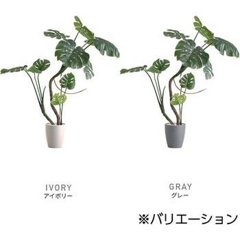 お手入れ簡単フェイクグリーン モンステラ Mサイズ(150cm) ホームテイスト