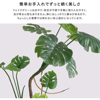 お手入れ簡単フェイクグリーン モンステラ Mサイズ(150cm) ホームテイスト