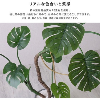 お手入れ簡単フェイクグリーン モンステラ Mサイズ(150cm) ホームテイスト