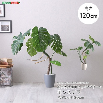 お手入れ簡単フェイクグリーン モンステラ Sサイズ(120cm) ホームテイスト