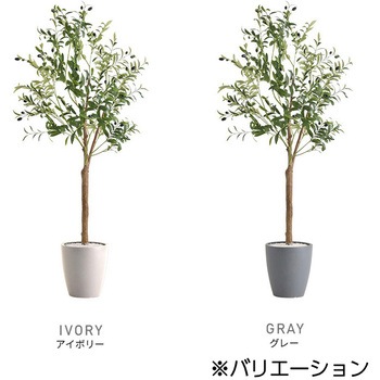 お手入れ簡単フェイクグリーン オリーブ Lサイズ(180cm) ホームテイスト