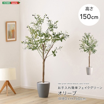 お手入れ簡単フェイクグリーン オリーブ Mサイズ(150cm) ホームテイスト