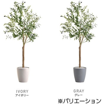 お手入れ簡単フェイクグリーン オリーブ Mサイズ(150cm) ホームテイスト