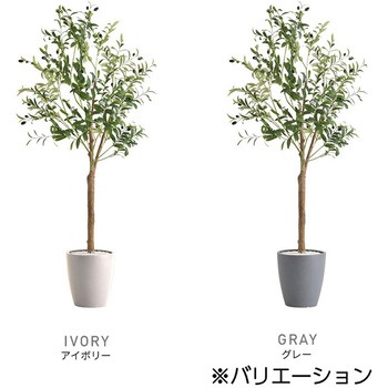 お手入れ簡単フェイクグリーン オリーブ Sサイズ(120cm) ホームテイスト