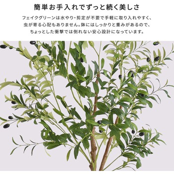 お手入れ簡単フェイクグリーン オリーブ Sサイズ(120cm) ホームテイスト