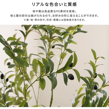 お手入れ簡単フェイクグリーン オリーブ Sサイズ(120cm) ホームテイスト