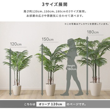 お手入れ簡単フェイクグリーン オリーブ Sサイズ(120cm) ホームテイスト