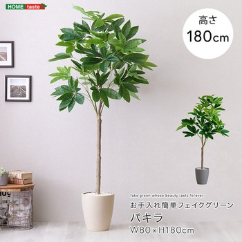 お手入れ簡単フェイクグリーン パキラ Lサイズ(180cm) ホームテイスト