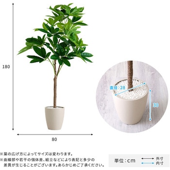お手入れ簡単フェイクグリーン パキラ Lサイズ(180cm) ホームテイスト