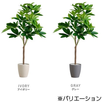 お手入れ簡単フェイクグリーン パキラ Lサイズ(180cm) ホームテイスト
