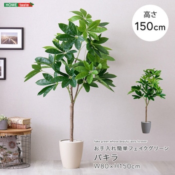 お手入れ簡単フェイクグリーン パキラ Mサイズ(150cm) ホームテイスト