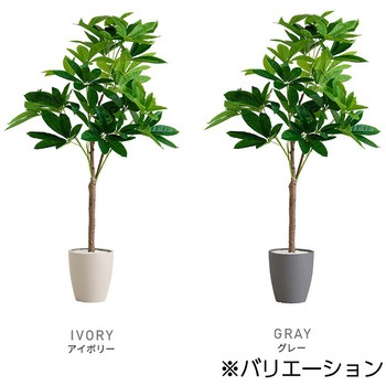 お手入れ簡単フェイクグリーン パキラ Mサイズ(150cm) ホームテイスト