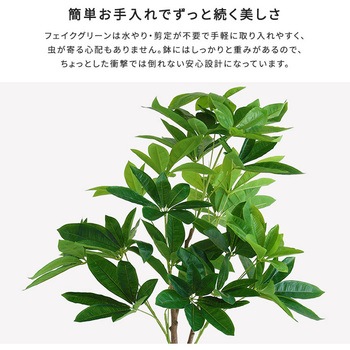 お手入れ簡単フェイクグリーン パキラ Mサイズ(150cm) ホームテイスト