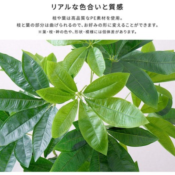 お手入れ簡単フェイクグリーン パキラ Mサイズ(150cm) ホームテイスト