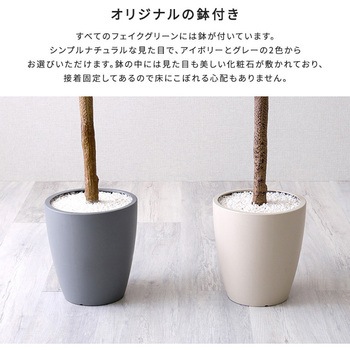 お手入れ簡単フェイクグリーン パキラ Mサイズ(150cm) ホームテイスト