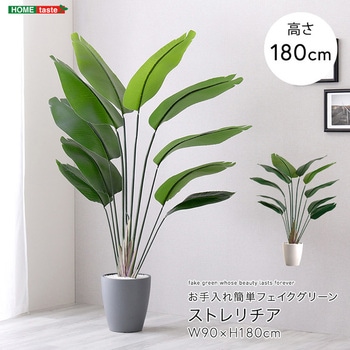 お手入れ簡単フェイクグリーン ストレリチア Lサイズ(180cm) ホームテイスト