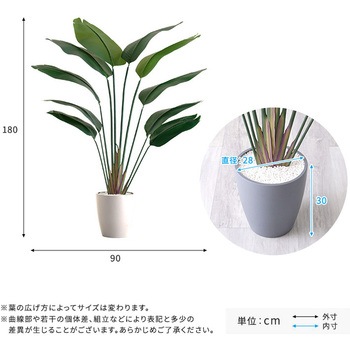お手入れ簡単フェイクグリーン ストレリチア Lサイズ(180cm) ホームテイスト