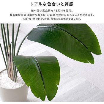 お手入れ簡単フェイクグリーン ストレリチア Lサイズ(180cm) ホームテイスト